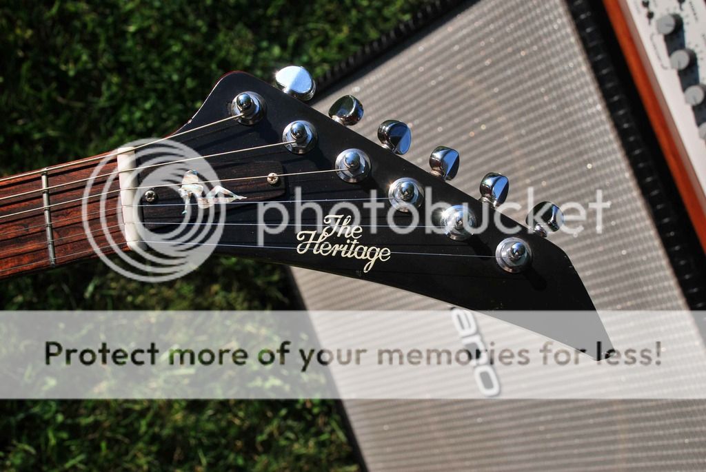 Headstock-Sm_zps1l6faxqe.jpg