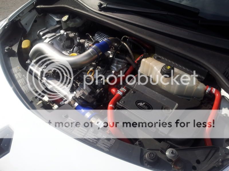 Show us your engine bay..