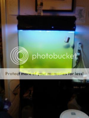 IMG_20120829_130041.jpg