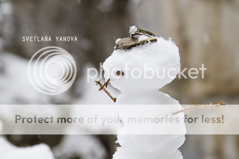 IMAGE: http://i972.photobucket.com/albums/ae203/Svetlasha_photos/LIZANDMARK1.jpg