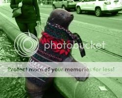  photo imagejpg1_zps476ba121.jpg