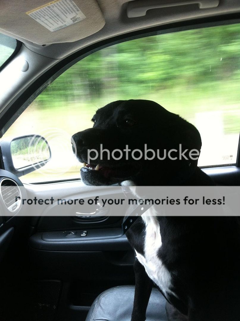 2B86BC15-61D2-41B4-914A-439FAC8D35DE_zps