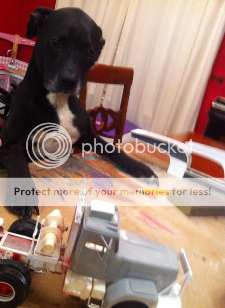 B49BBFDD-7E21-42E7-ADC8-26351DA2E1A3_zps