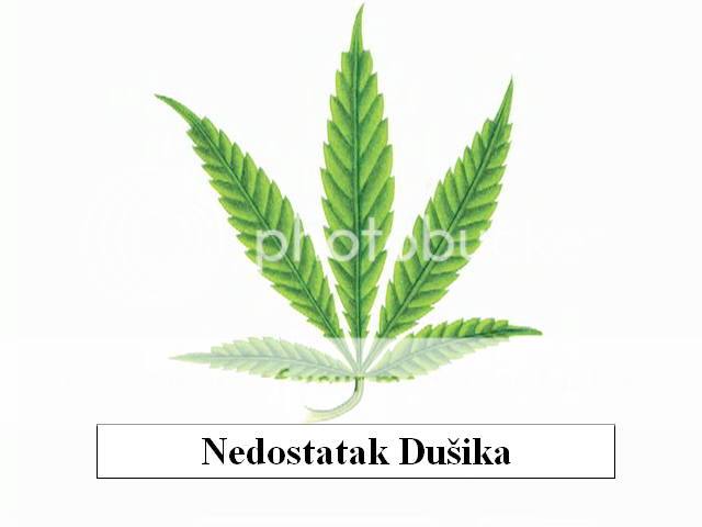 NedostatakDuika.png