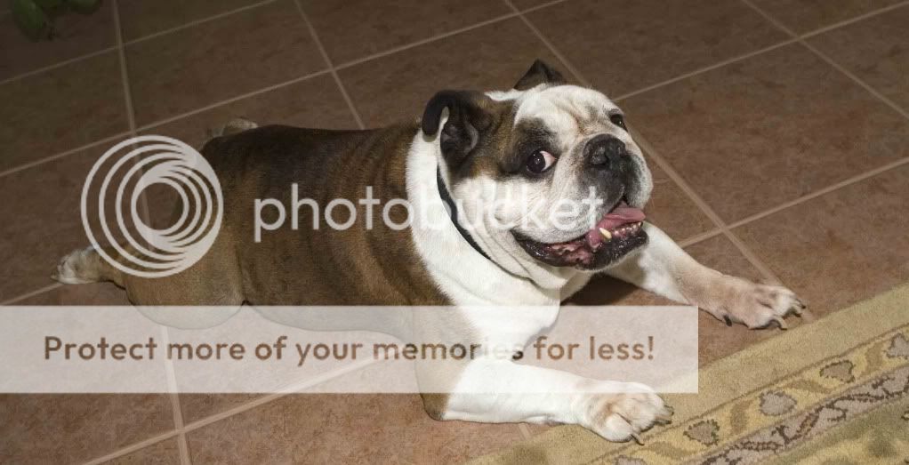 [linked image]