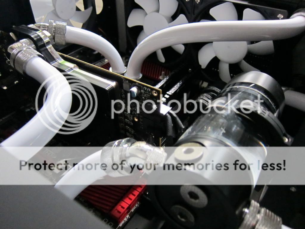 IMG_5595.jpg