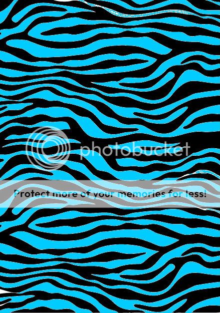 crazyy for zebra zebra print. crazyy for zebra