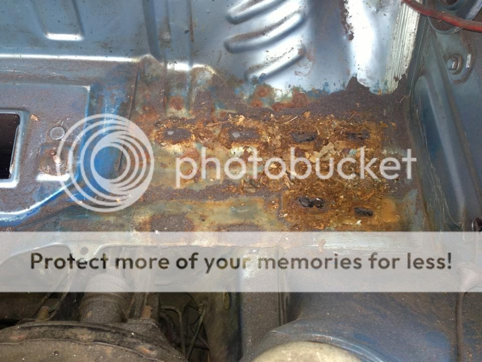 1391739_10151896131813076_1748942908_n_z