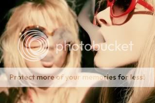 photography Pictures, Images and Photos