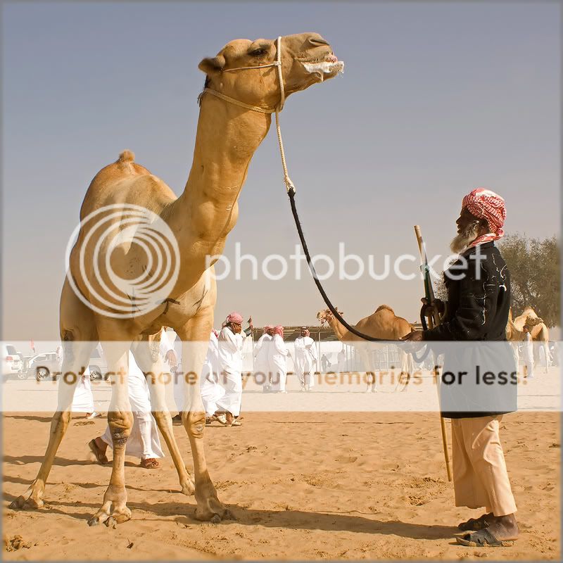 Re: Фотоохота, зоопарки и просто животинки из путешествий