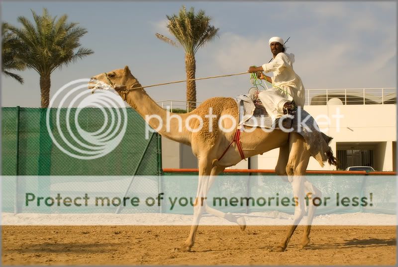 Покритикуйте маршрут (ОАЭ, Оман, Бахрейн)