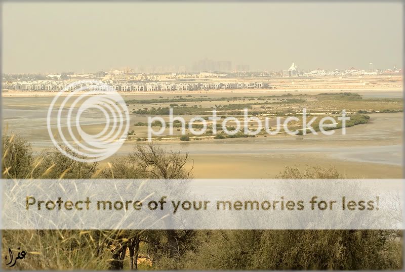 Городской и сельский пейзаж (фото) Городской и сельский пейзаж (фото)