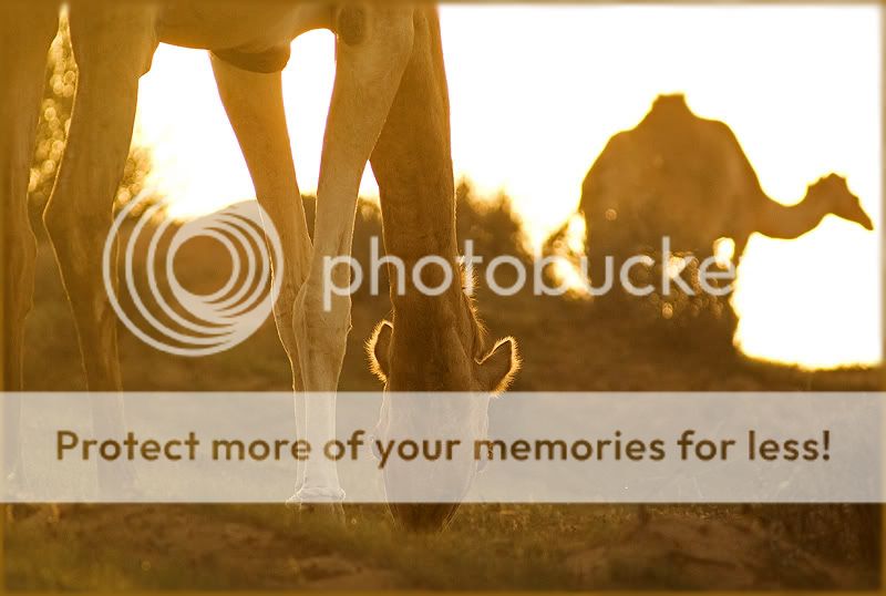 Хит-Парад "Рассветы и Закаты"