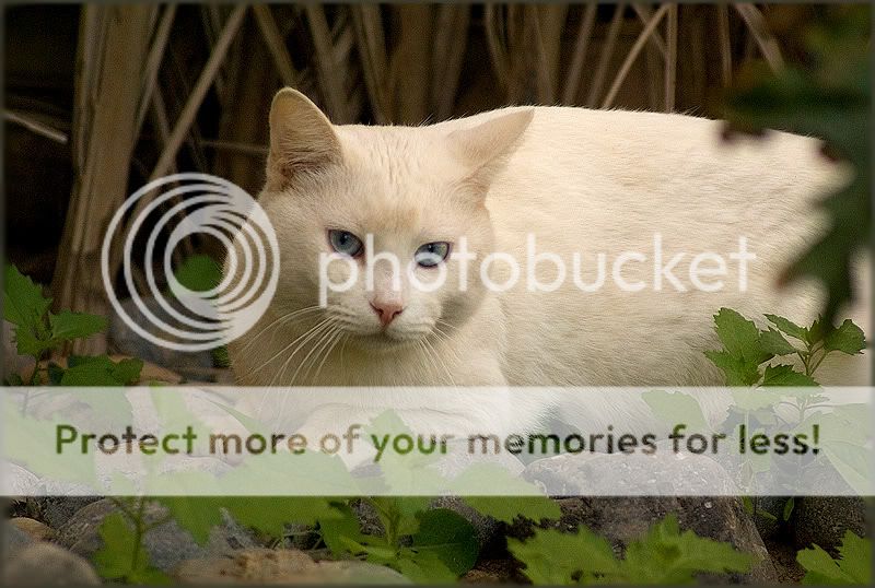 Re: Фотоохота, зоопарки и просто животинки из путешествий