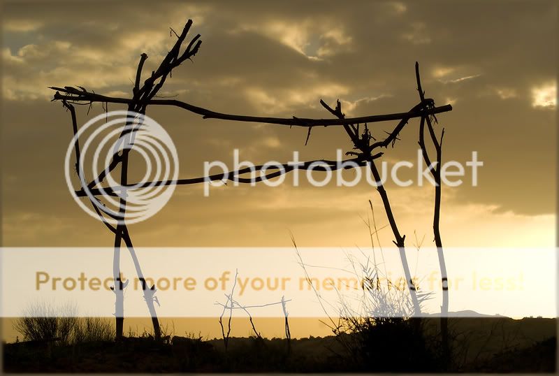 Хит-Парад "Рассветы и Закаты"