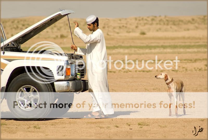 Re: Фотоохота, зоопарки и просто животинки из путешествий