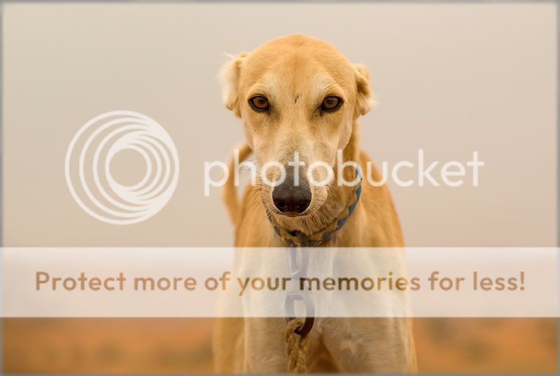 Re: Фотоохота, зоопарки и просто животинки из путешествий