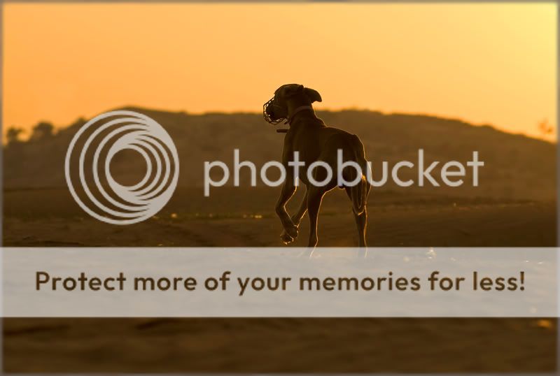 Re: Фотоохота, зоопарки и просто животинки из путешествий