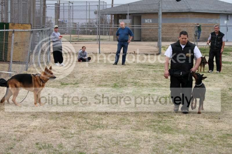 matrixheelingforBHtraining1.jpg