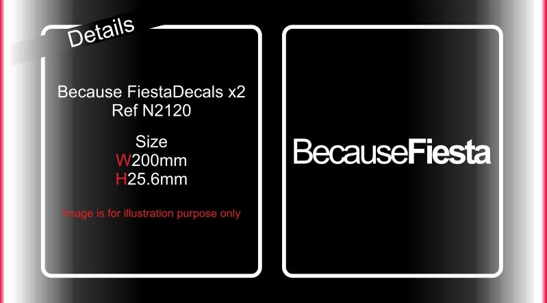 N2120 Because Fiesta Decals photo N2120BecauseFiestaDecals_zpscbdaa66e_1.jpg